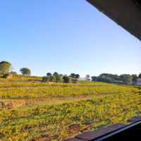 gîte, Beaumes de Venise, Vaucluse, Provence, Mont Ventoux