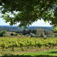 vins domaine rocher des dames