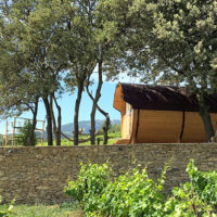 unusual lodging, barrel cottage, vineyard cottage