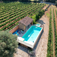 piscine, vignes, domaine viticole, Beaumes de Venise