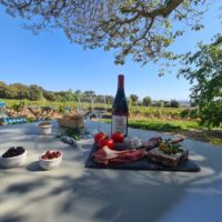 degustation vin beaumes de venise
