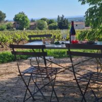 degustation vin gite