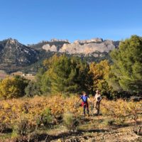 balade vignoble beaumes de venise