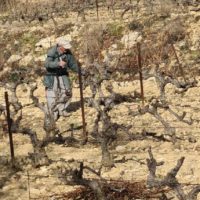 vignoble beaumes de venise