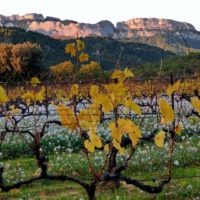 balades provence