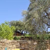 chambre d hotes beaumes de venise
