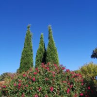 mas-provencal
