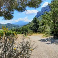 provence vaucluse
