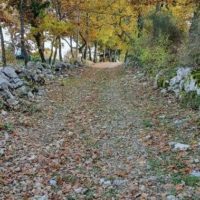 se balader en provence
