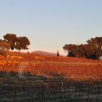 se balader vaucluse