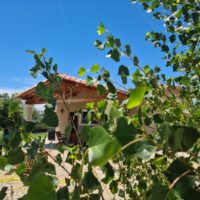 vacances vaucluse