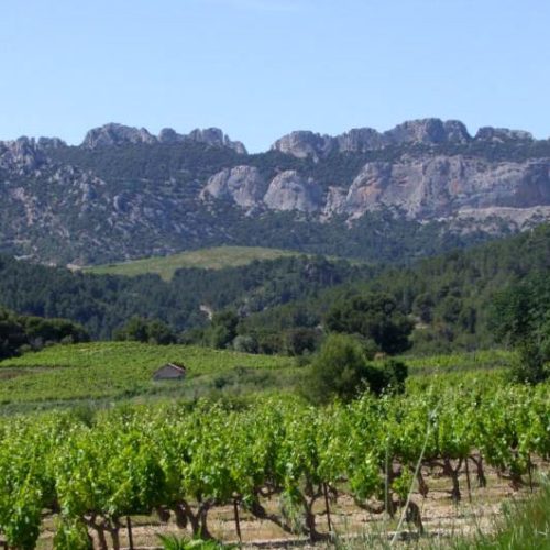 Domaine Le Rocher des Dames, Beaumes-de-Venise, Vaucluse, Dentelles de Montmirail